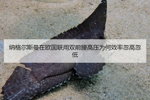 na-ge-er-si-man-zai-ou-guo-lian-yong-shuang-qian-yao-gao-ya-wei-he-xiao-lv-hu-gao-hu-di-1-151.jpg